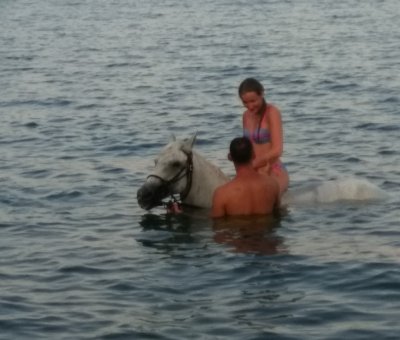 Manavgat At Turu 3 Saat At Safari