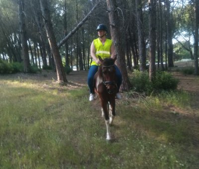 Manavgat At Turu 3 Saat At Safari