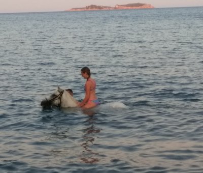 Manavgat At Turu 3 Saat At Safari