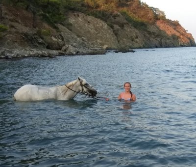 Manavgat At Turu 3 Saat At Safari