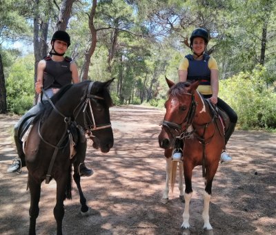 Manavgat At Turu 3 Saat At Safari