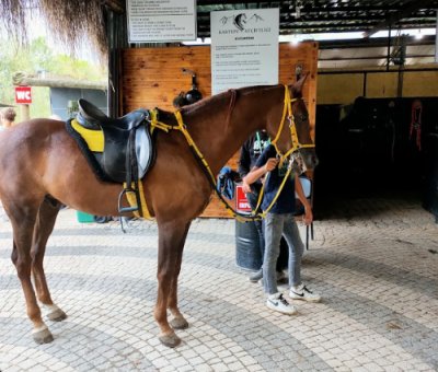 Maşukiye At Turu 45 Dakika