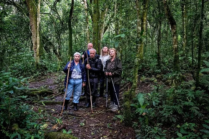 10-Days Uganda Gorillas and Chimpanzee Wildlife Discovery