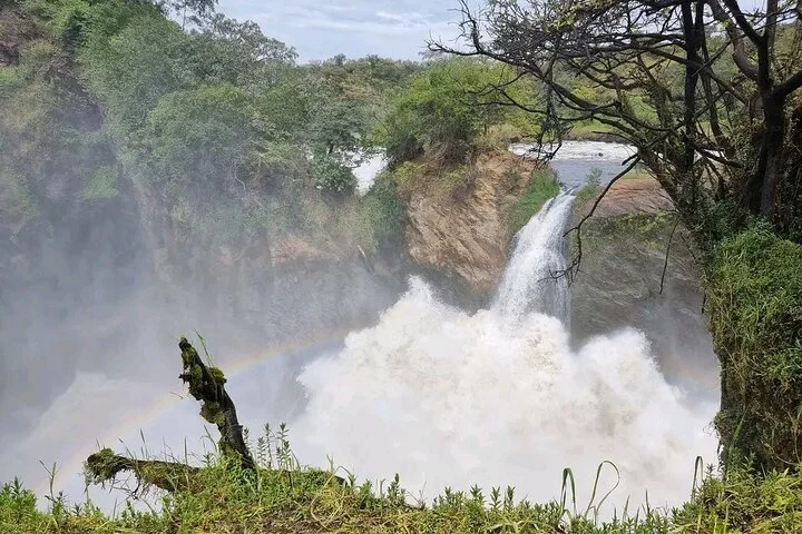 10-Days Uganda Gorillas and Chimpanzee Wildlife Discovery