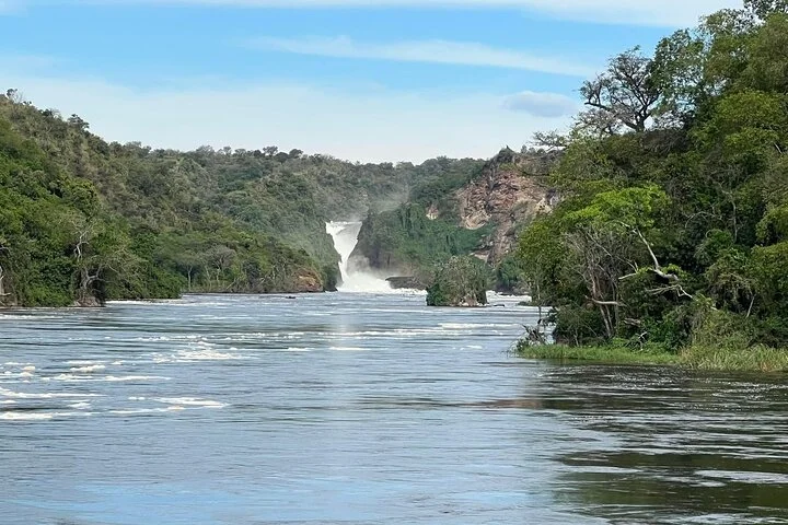 10-Days Uganda Gorillas and Chimpanzee Wildlife Discovery