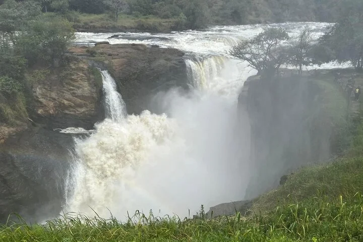 10-Days Uganda Gorillas and Chimpanzee Wildlife Discovery