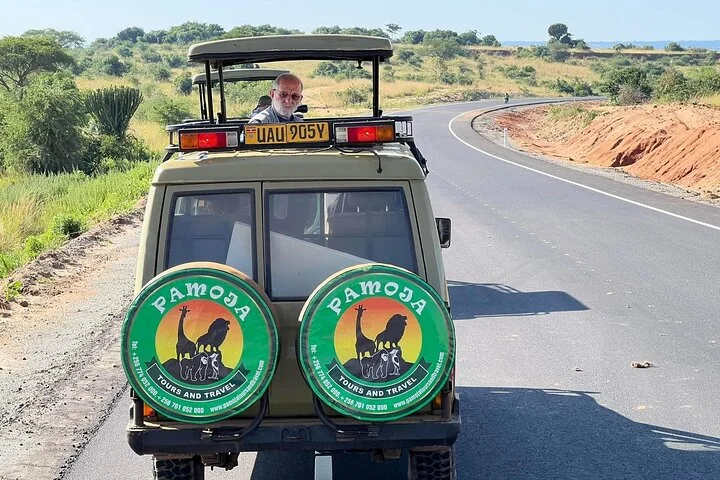 13 Day Uganda Safari with Gorillas, Chimps & Tree climbing lions