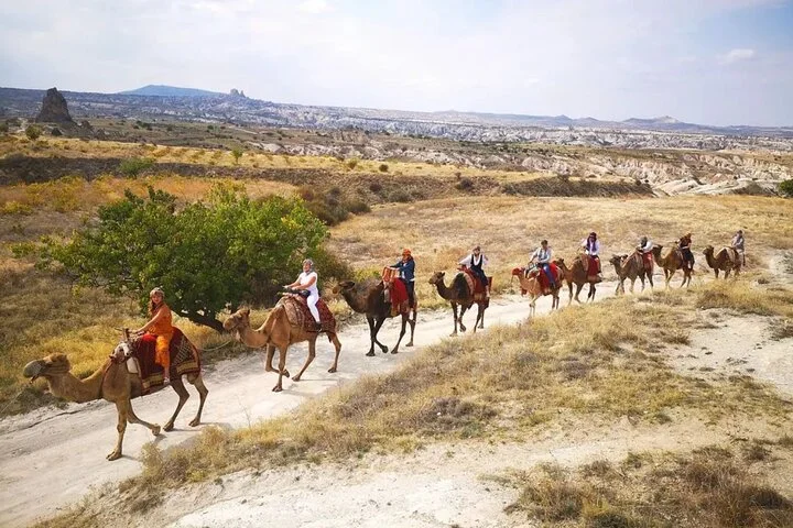 2 Hours Cappadocia Camel Ride Experience