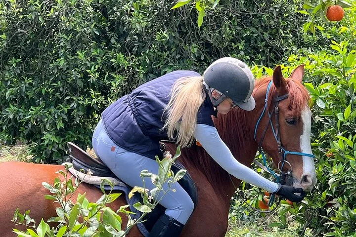 2 Hours Shared Horse Riding in Kemer Antalya All Level Riders