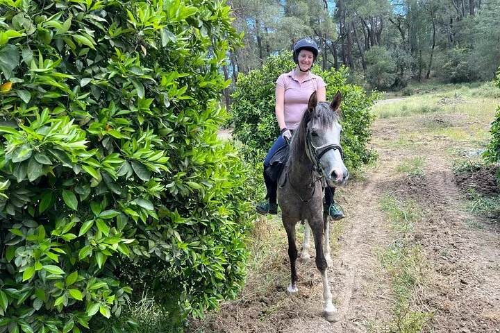 2 Hours Shared Horse Riding in Kemer Antalya All Level Riders