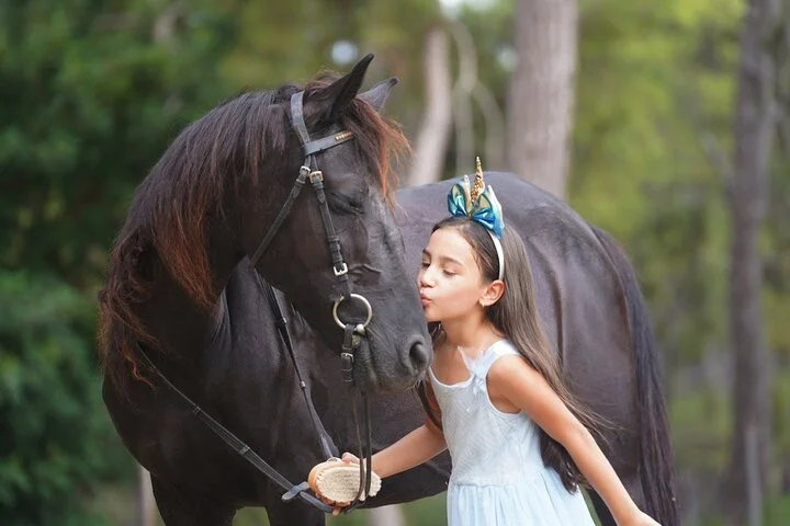 2 Hours Shared Horse Riding in Kemer Antalya All Level Riders