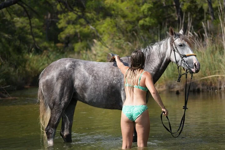 2 Hours Shared Horse Riding in Kemer Antalya All Level Riders