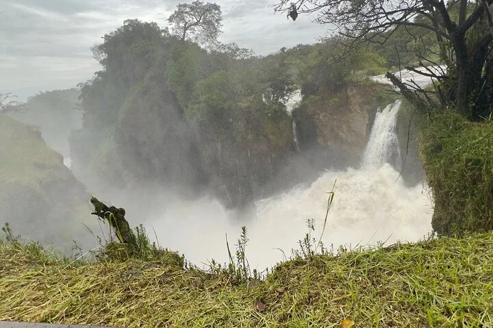 3 Day Murchison Falls NP Wildlife Tour, Chimps & Rhino Tracking.