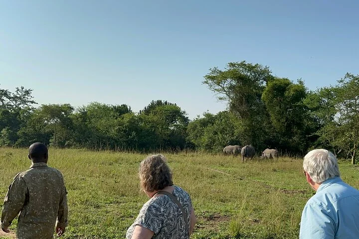 3 Day Murchison Falls NP Wildlife Tour, Chimps & Rhino Tracking.