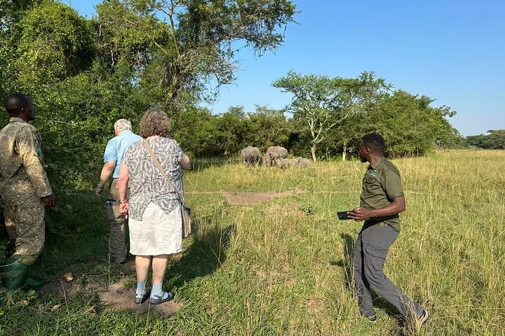 3 Day Murchison Falls NP Wildlife Tour, Chimps & Rhino Tracking.