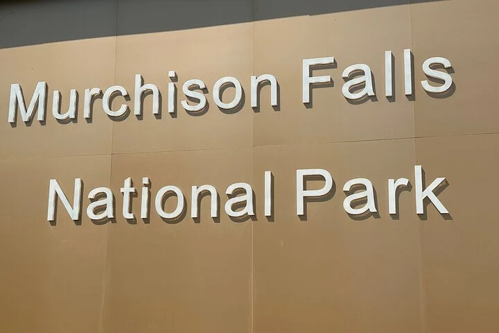 3 Day Murchison Falls NP Wildlife Tour, Chimps & Rhino Tracking.