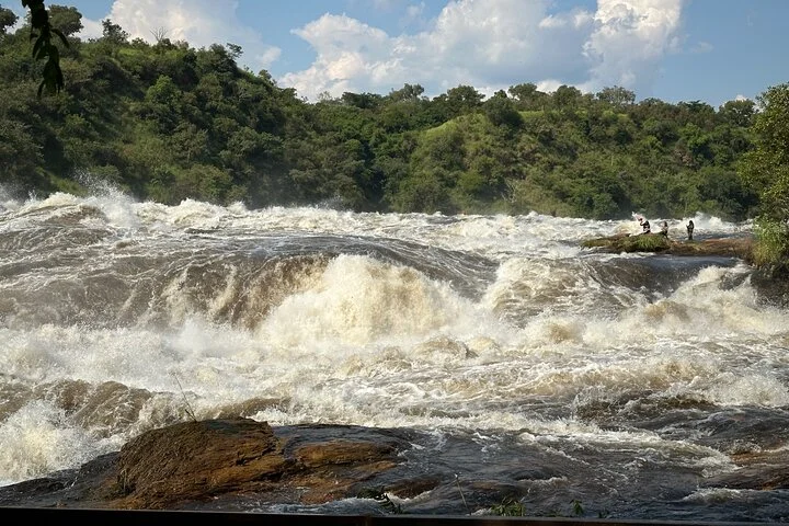 3 Day Murchison Falls NP Wildlife Tour, Chimps & Rhino Tracking.