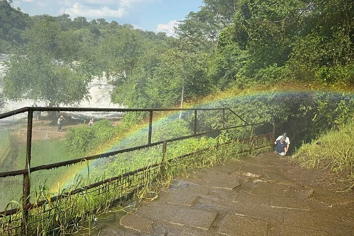 3 Day Murchison Falls NP Wildlife Tour, Chimps & Rhino Tracking.