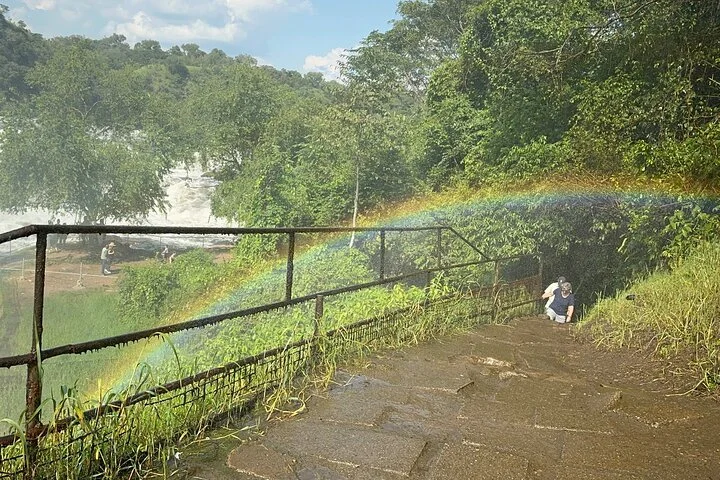 3 Day Murchison Falls NP Wildlife Tour, Chimps & Rhino Tracking.