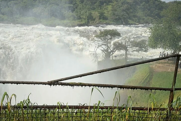 3 Day Murchison Falls NP Wildlife Tour, Chimps & Rhino Tracking.