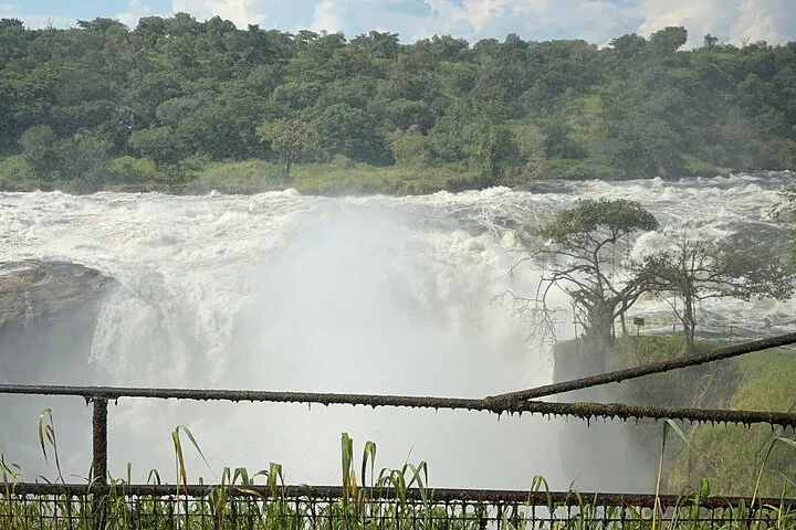 3 Day Murchison Falls NP Wildlife Tour, Chimps & Rhino Tracking.