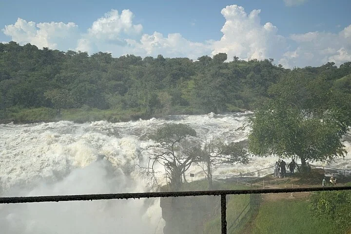 3 Day Murchison Falls NP Wildlife Tour, Chimps & Rhino Tracking.