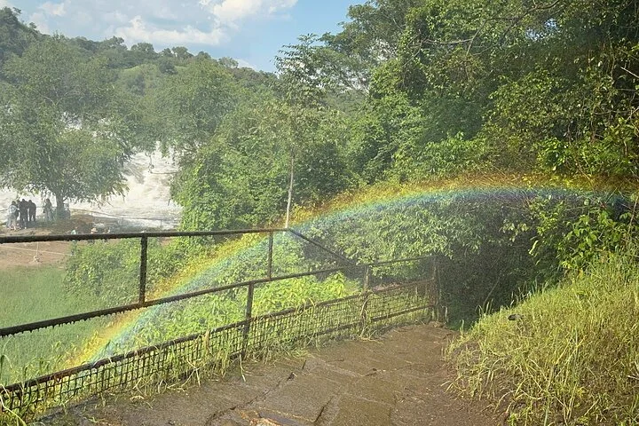 3 Day Murchison Falls NP Wildlife Tour, Chimps & Rhino Tracking.