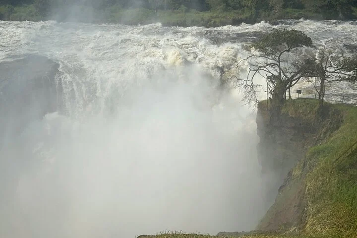 3 Day Murchison Falls NP Wildlife Tour, Chimps & Rhino Tracking.