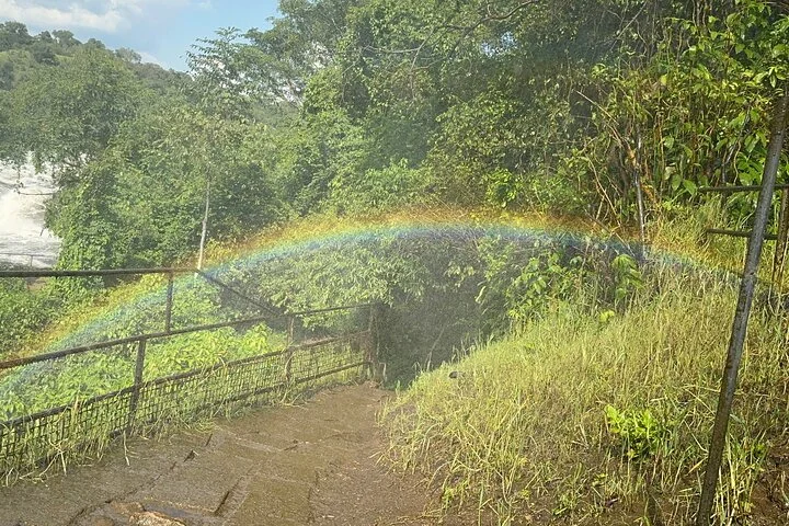 3 Day Murchison Falls NP Wildlife Tour, Chimps & Rhino Tracking.