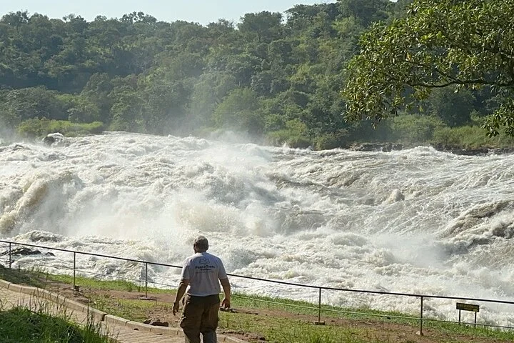 3 Day Murchison Falls NP Wildlife Tour, Chimps & Rhino Tracking.