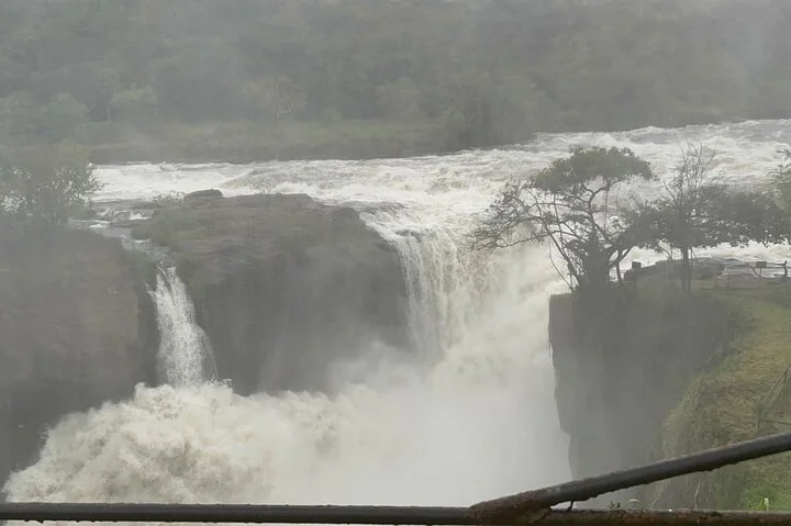 3 Day Murchison Falls NP Wildlife Tour, Chimps & Rhino Tracking.