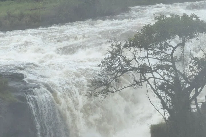 3 Day Murchison Falls NP Wildlife Tour, Chimps & Rhino Tracking.