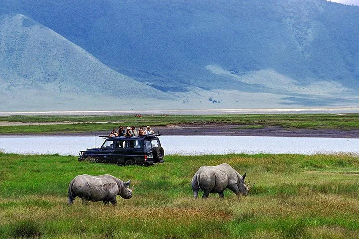 6 Days Join Group Safari Serengeti,Ngorongoro, Lake Manyara, Tarangire, Arusha