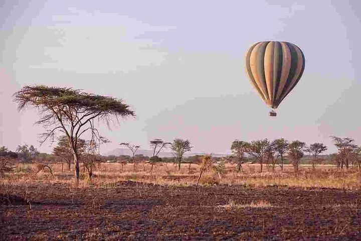 6 Days Join Group Safari Serengeti,Ngorongoro, Lake Manyara, Tarangire, Arusha
