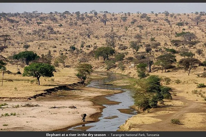 6 Days Join Group Safari Serengeti,Ngorongoro, Lake Manyara, Tarangire, Arusha