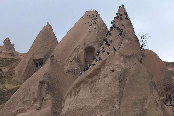 A Private Tour in Fairyland