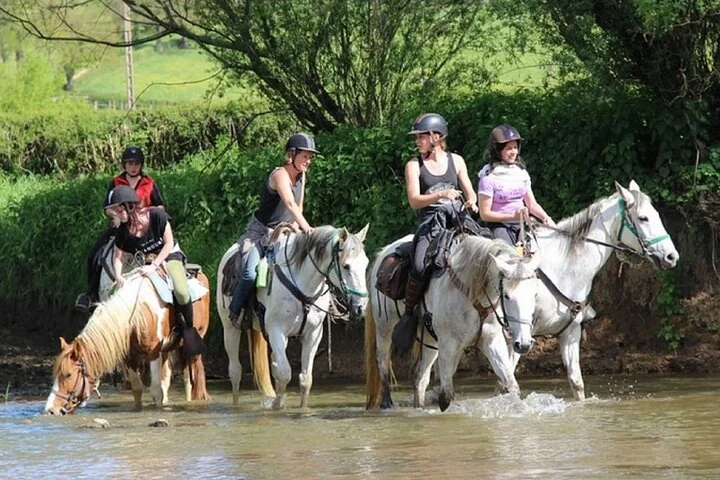 Alanya Horseback Riding in the Taurus Mountains with Transfer