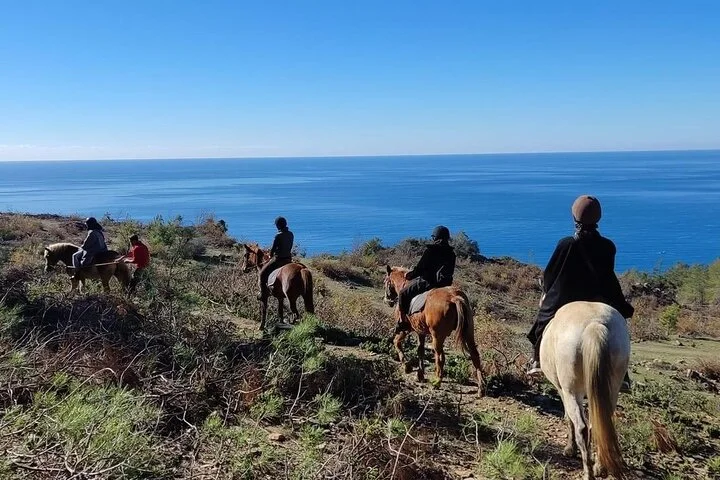 Alanya Horseback Riding in the Taurus Mountains with Transfer