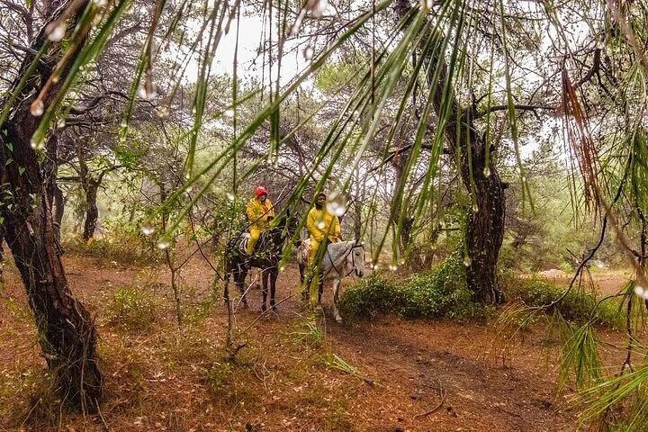 Antalya Adventure Day Diving Rafting Zipline and More