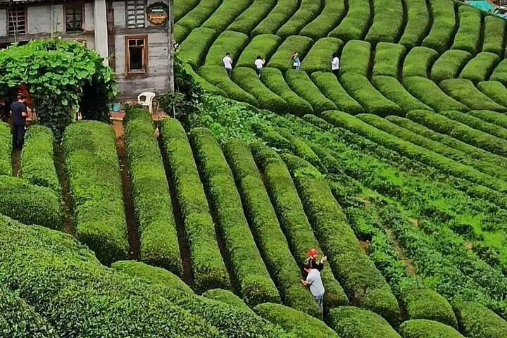 Ayder Turu Private Tour