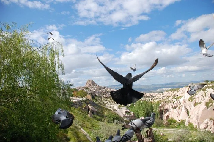 Balloon Flight Include 2 Days Private Cappadocia Tour