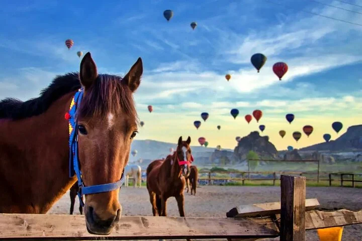 Balloon Watching Tour in Cappadocia with Hotel Pick-Up & Drop-Off