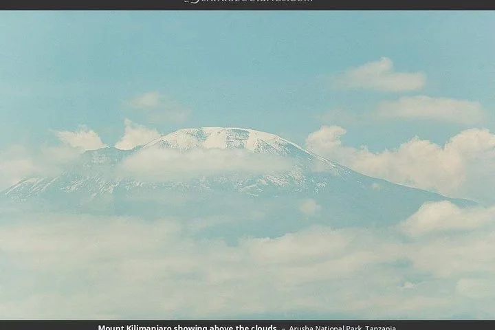 Big Five & Beyond – Join the 7 Days Safari Adventure