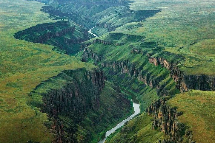 Big Five & Beyond – Join the 7 Days Safari Adventure