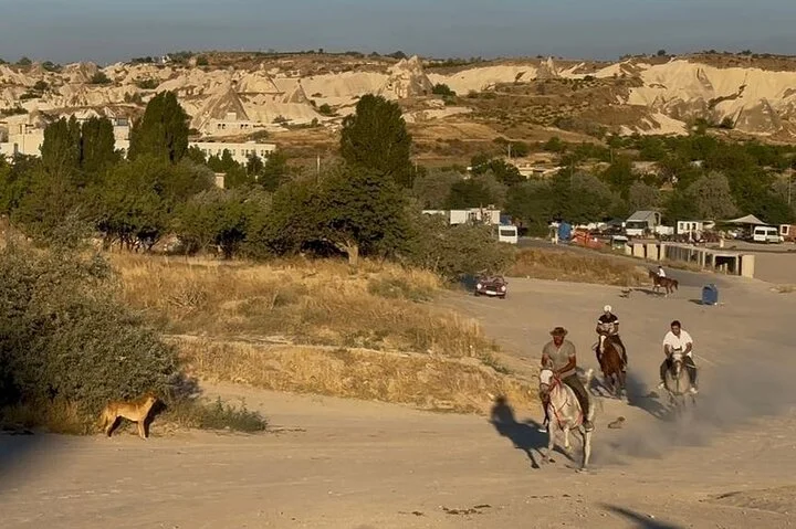 Cappadocia 2 Hours Galloping Horse Riding Tour