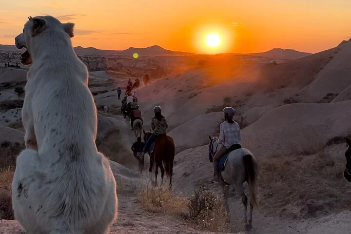 Cappadocia 2 hours Horse Riding Experience - flexible time