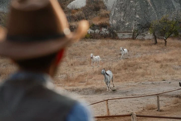 Cappadocia- Beautiful Horses Tours