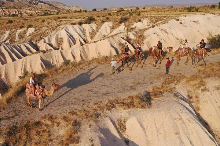 Cappadocia Camel Ride Experience Sunset & Sunrise & Daytime