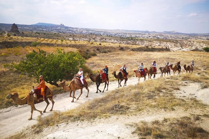 Cappadocia Camel Ride Experience Sunset & Sunrise & Daytime