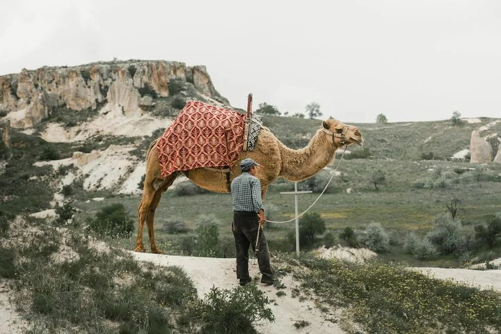 Cappadocia Camel Ride Experience with Hotel Pickup